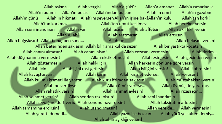 Pehlivan Ali Wittgenstein’e Karşı!