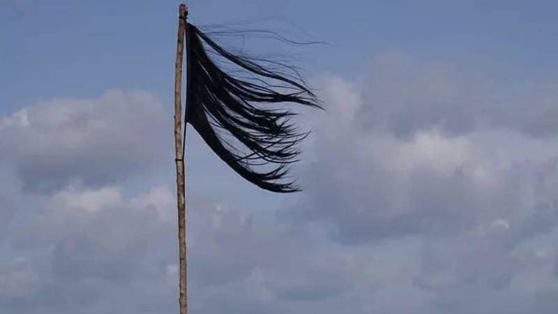 İran Sinemasının Kadın Çekirgeleri